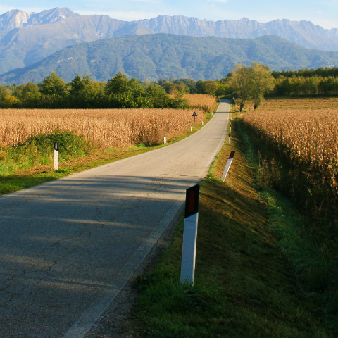 Vins du Frioul-Vénétie Julienne